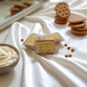 Gourmet Sugar Cookie Vanilla Scented Wax Melts Orchid & Vine